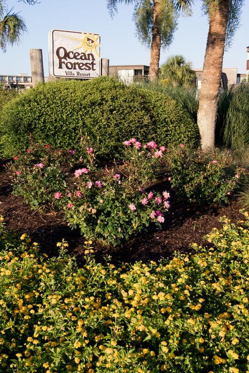 Ocean Forest Villas شاطئ ميرتل المظهر الخارجي الصورة